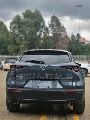 Mazda CX-30 2020 Gray