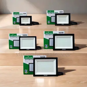 Factory Prices 30W,50W,100W,200W 300W Watts AC Electric Flood Lights