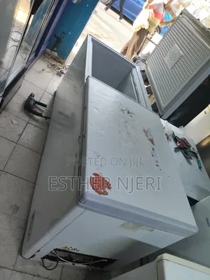 800litres Ramtoms Deep Freezer