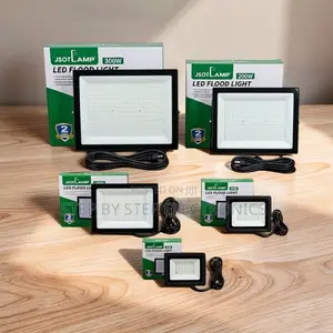 Factory Direct 30W,50W,100W,200W 300W Watts AC Electric Flood Lights