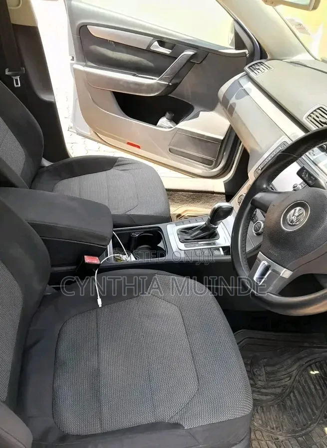 Volkswagen Passat 2013 Blue
