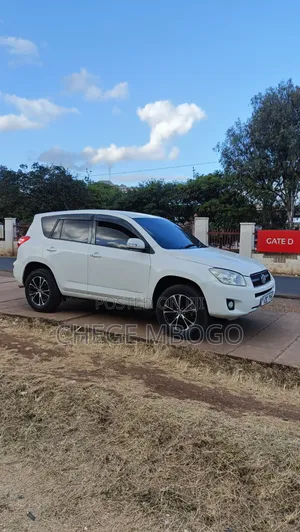 Toyota RAV4 2013 Pearl