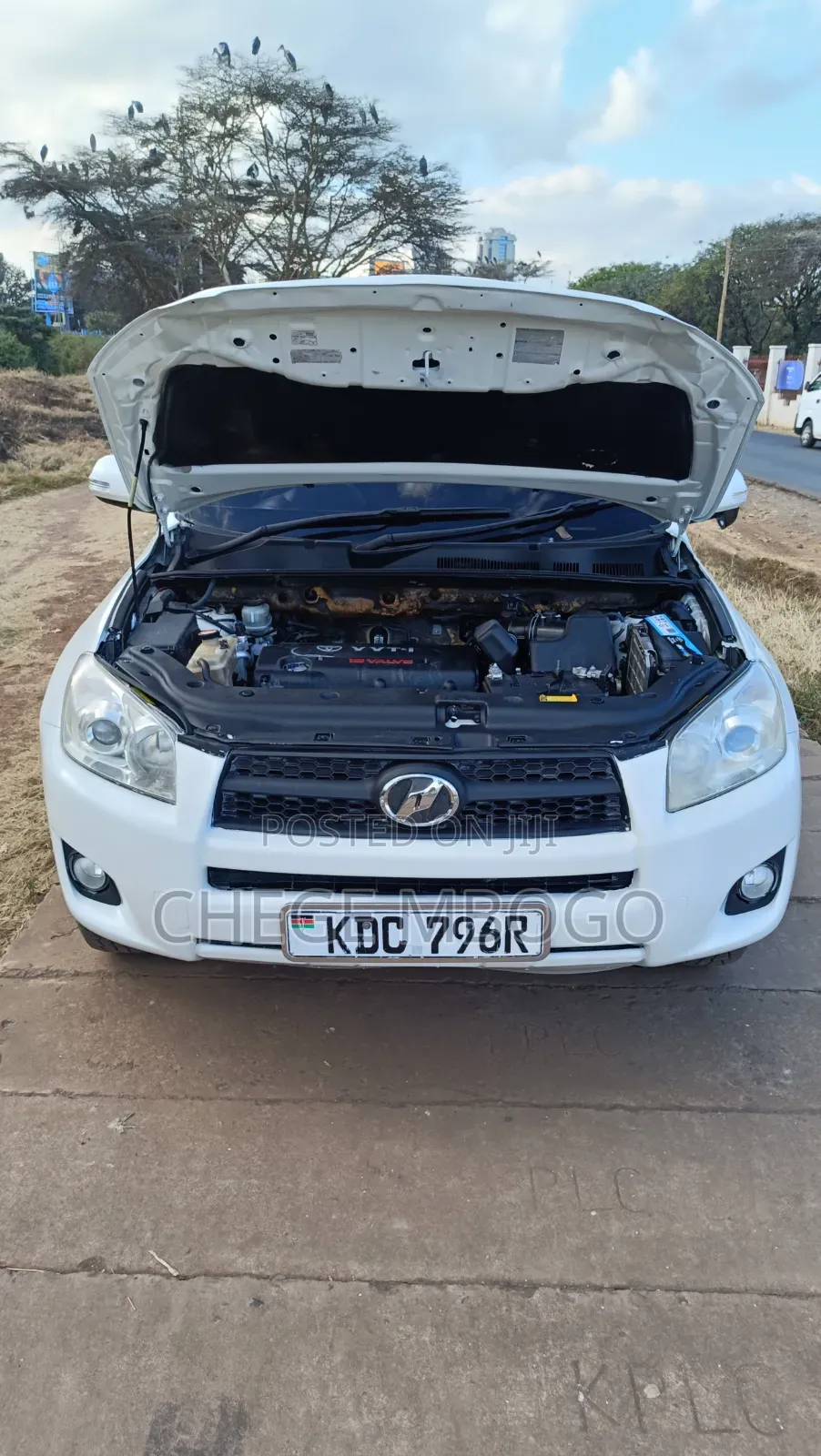 Toyota RAV4 2013 Pearl