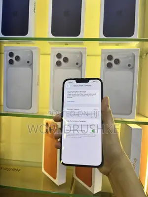 Apple iPhone 13 Pro Max 256 GB Gray