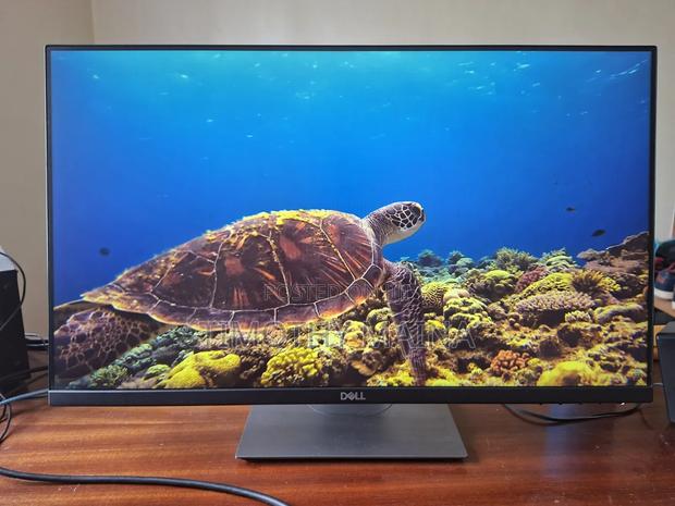 Dell 24 Inches Bezeless P2419H