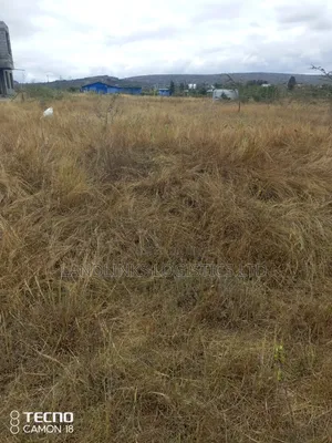 Daystar  University 2kms Before 50 by 100 Plots Enroute Msa Rd 6kms