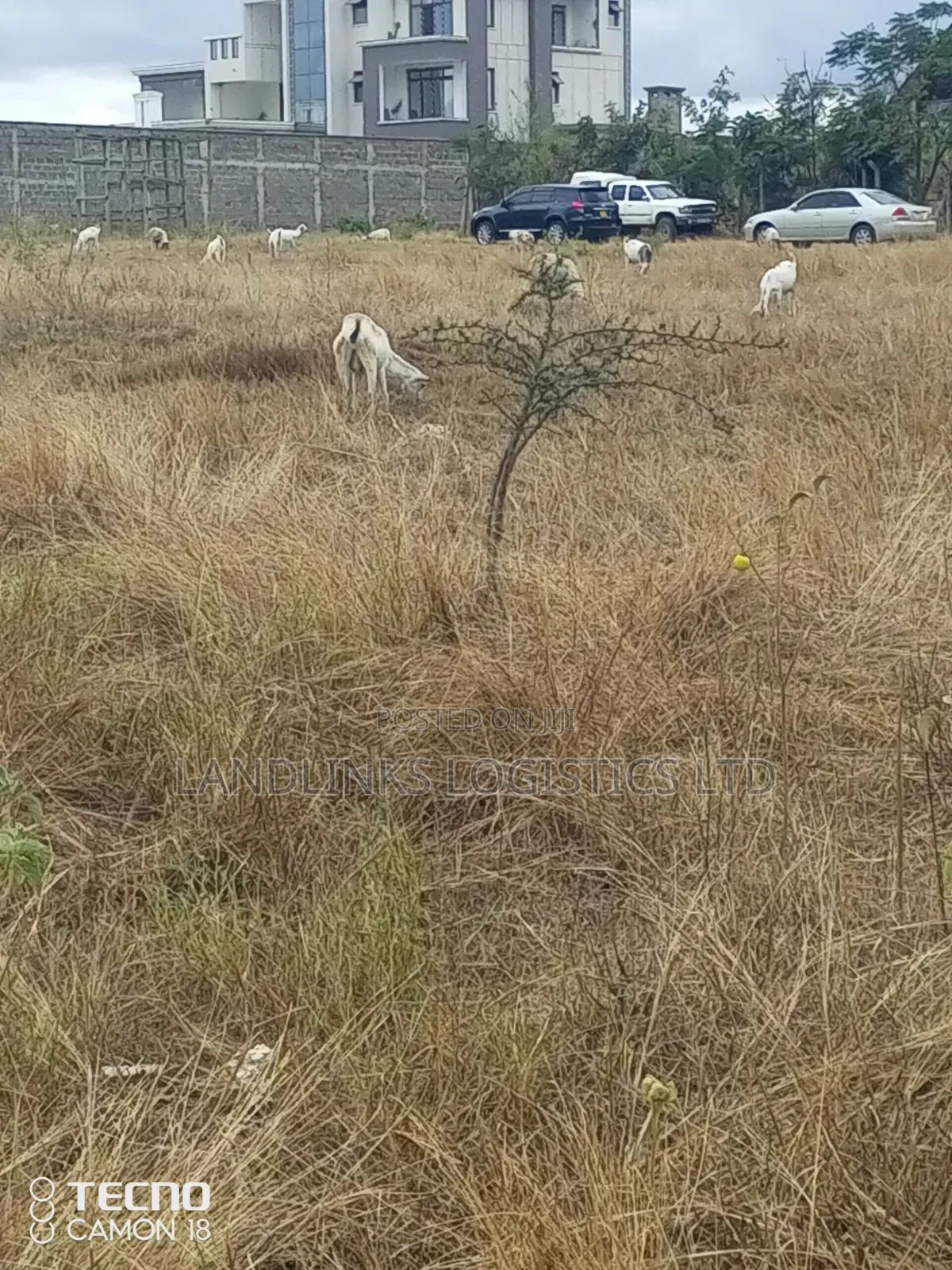 Daystar  University 2kms Before 50 by 100 Plots Enroute Msa Rd 6kms