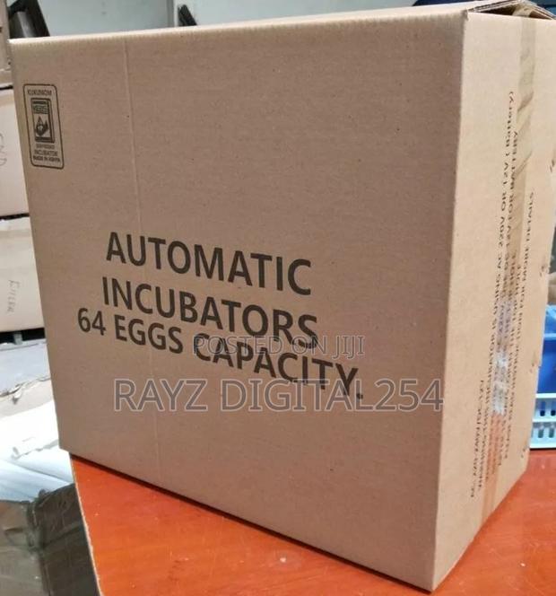 64 Eggs Incubator
