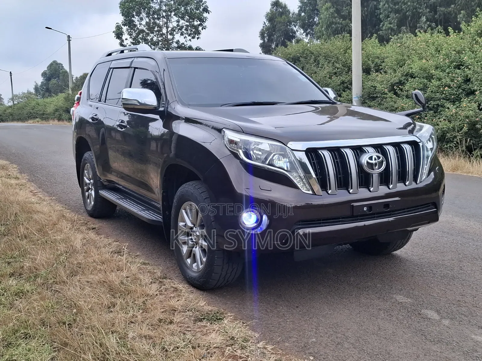 Toyota Land Cruiser Prado 2017 Brown