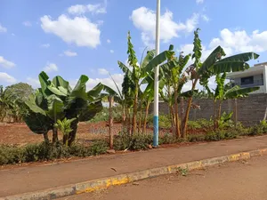 Westwood Estate [ Karagaita] Thika