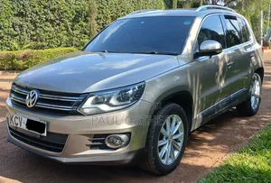 Volkswagen Tiguan 2012 Gray