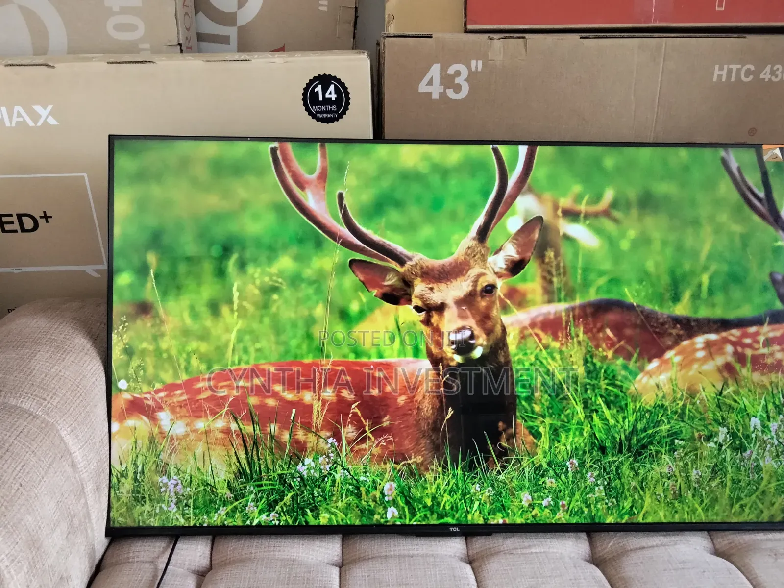 TCL 55 Inch Google TV