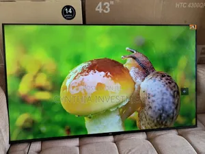 TCL 55 Inch Google TV