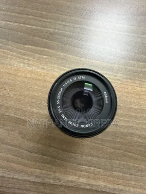 55-250mm EFS Lens