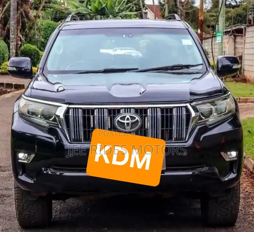Toyota Land Cruiser Prado 2010