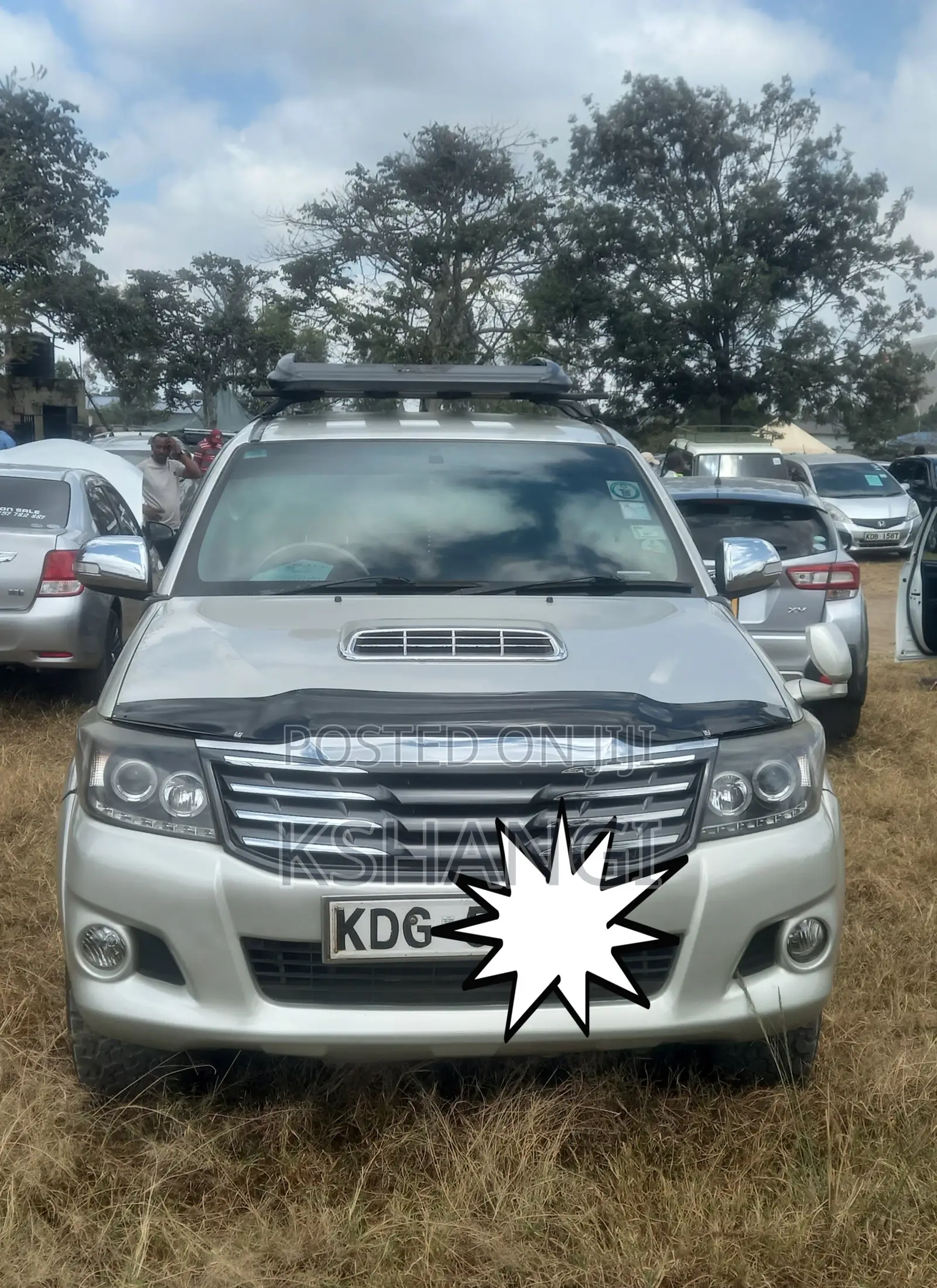 Toyota Hilux 3.0 D-4D 4x4 2013 Gold