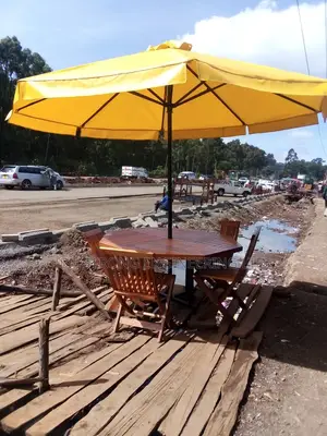 Outdoor Umbrella Shades