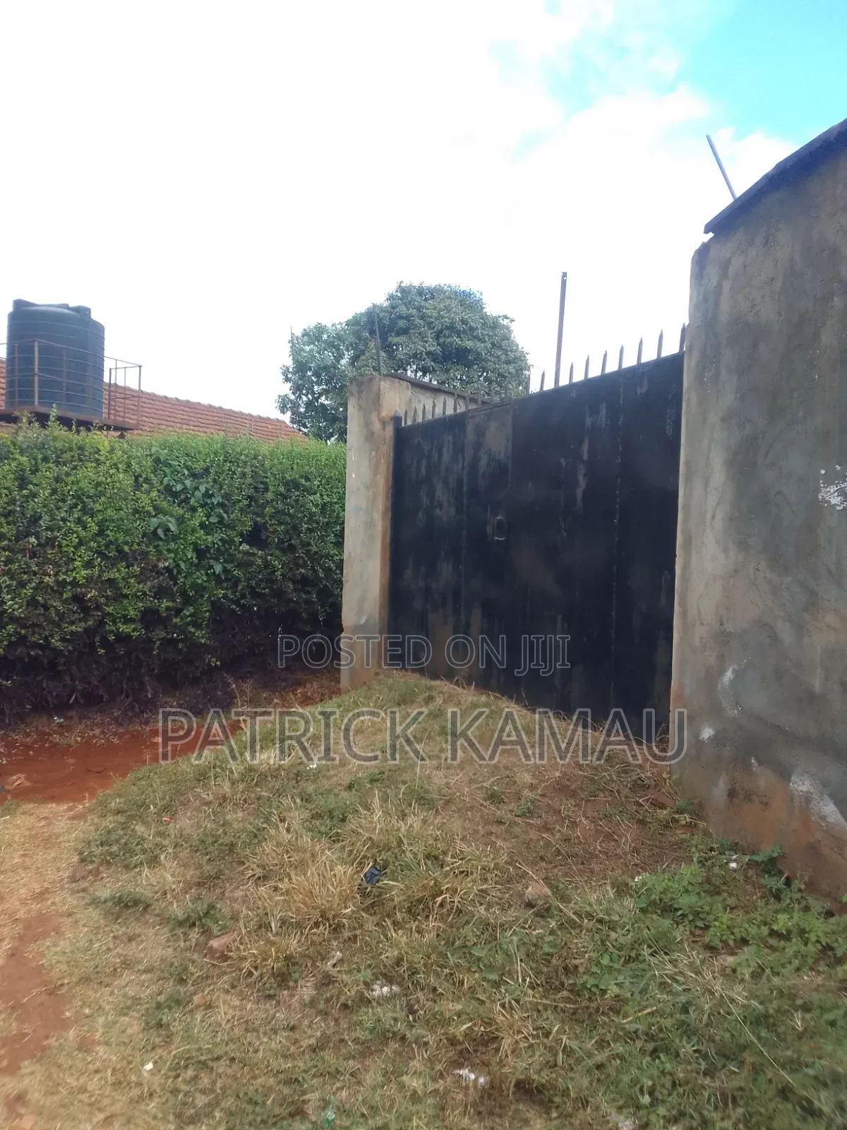 100*100 Ruaka/Muchatha