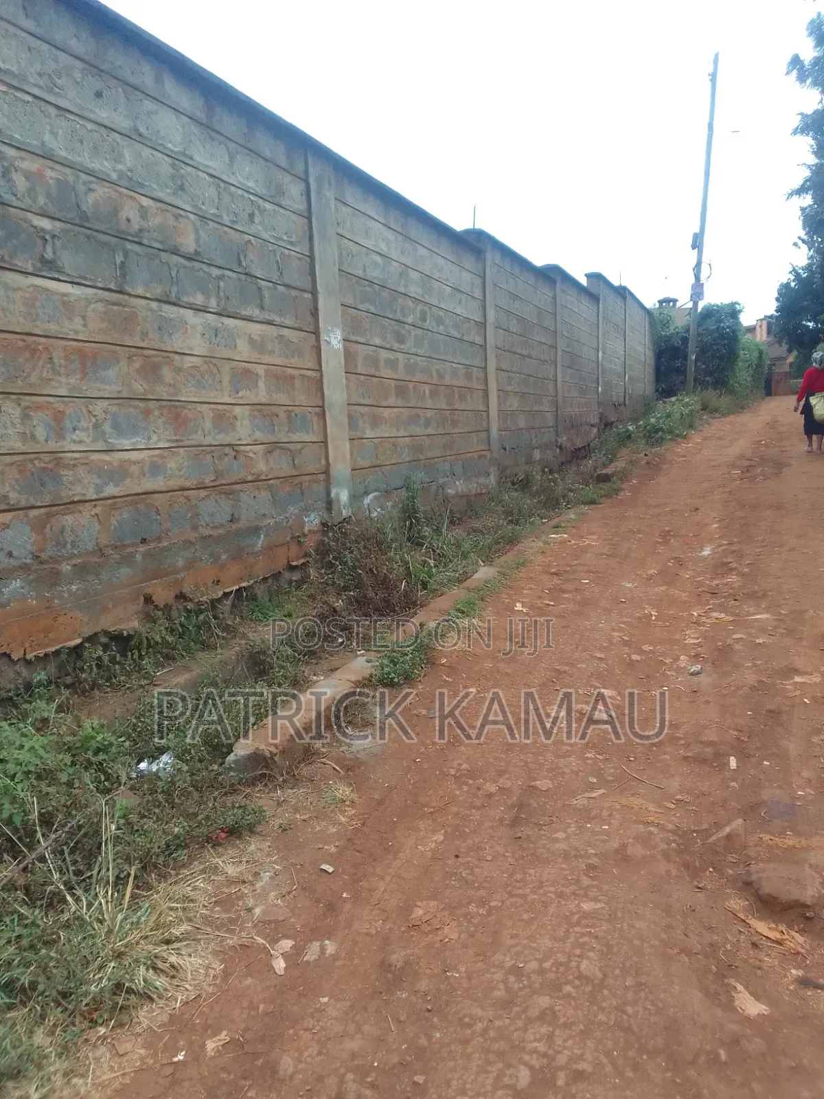 100*100 Ruaka/Muchatha