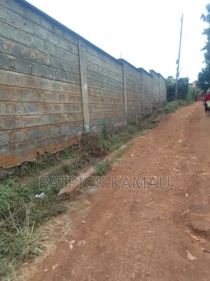 100*100 Ruaka/Muchatha