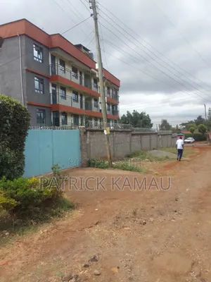 100*100 Ruaka/Muchatha
