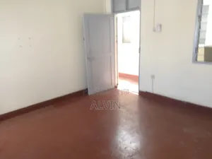 Office Msa Haile Selaise