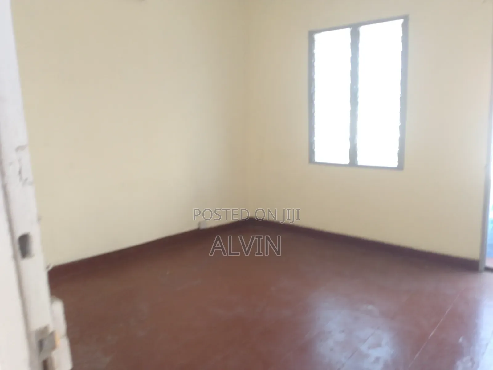Office Msa Haile Selaise