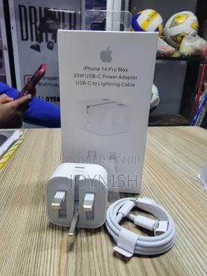 iPhone Power Adapter