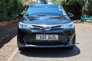 Toyota Corolla Fielder 2018 Black