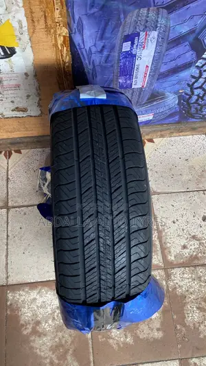 225/55r17 Atlander Tyre