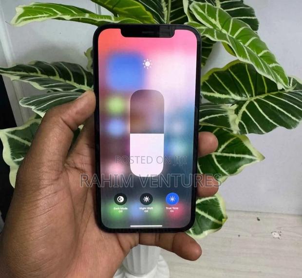 Apple iPhone 12 256 GB