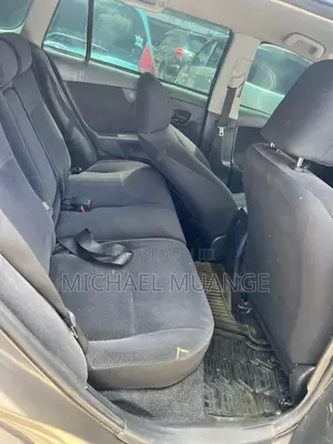 Toyota Corolla Fielder 2009 Brown