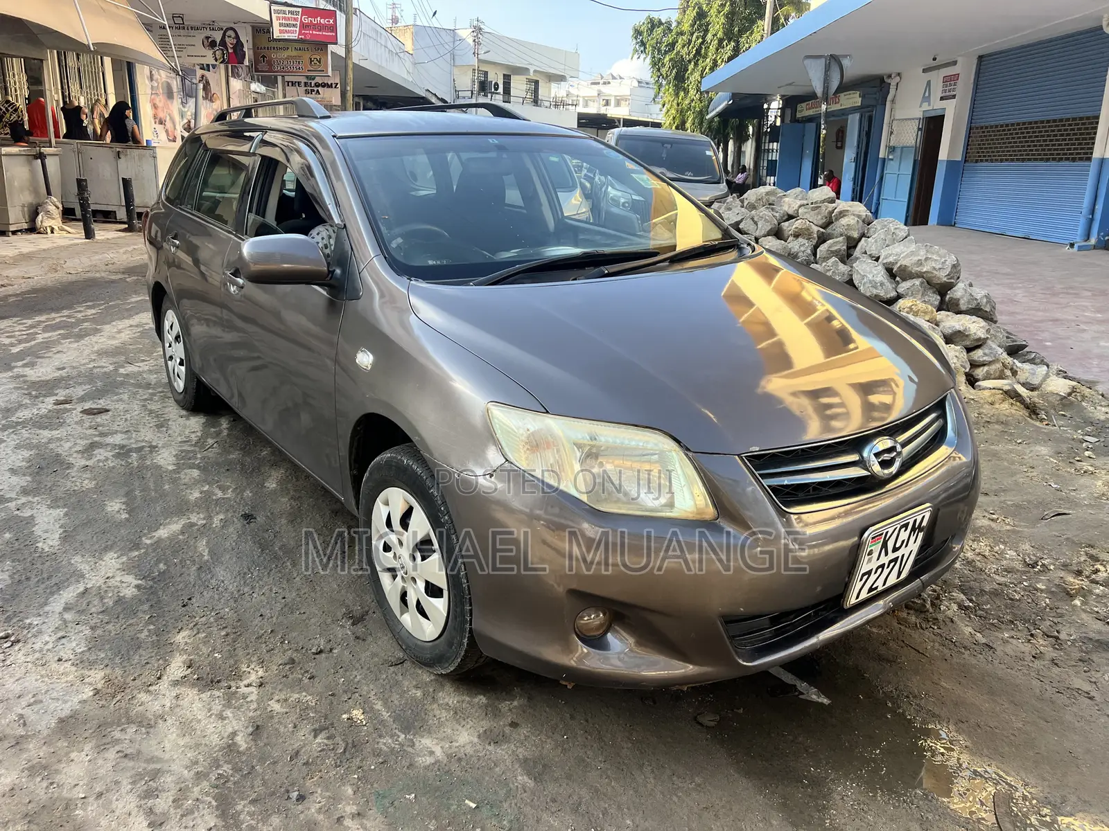 Toyota Corolla Fielder 2009 Brown