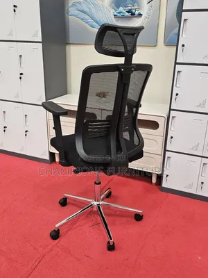 Apex Back Care Ergonomic Office Chair