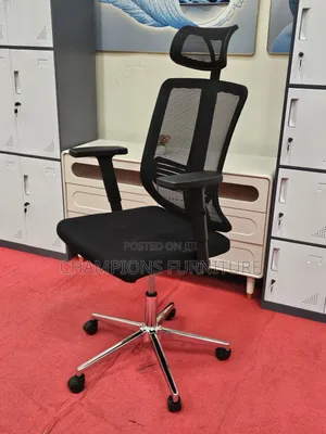 Apex Back Care Ergonomic Office Chair