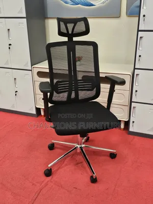 Apex Back Care Ergonomic Office Chair