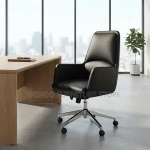 Office Chairs; Executive Ergonomic Recliner Office Chairs
