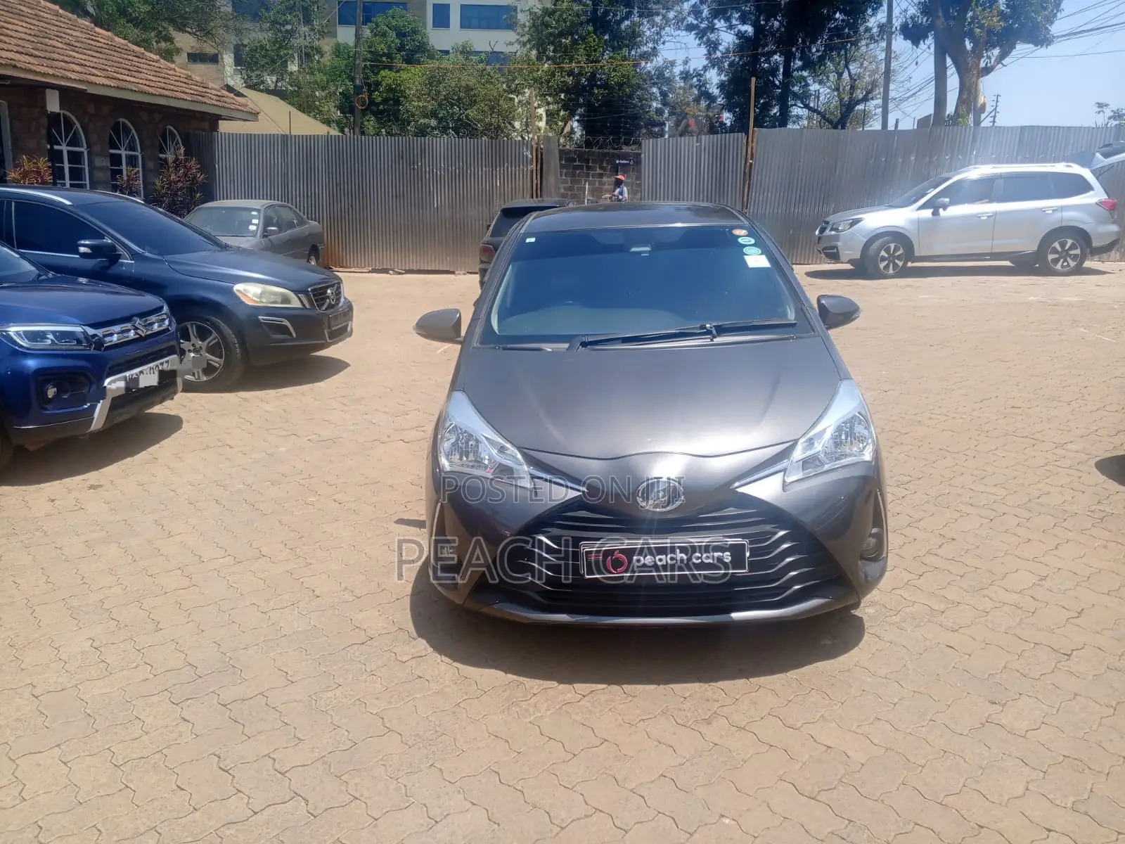 Toyota Vitz 2019 Gray