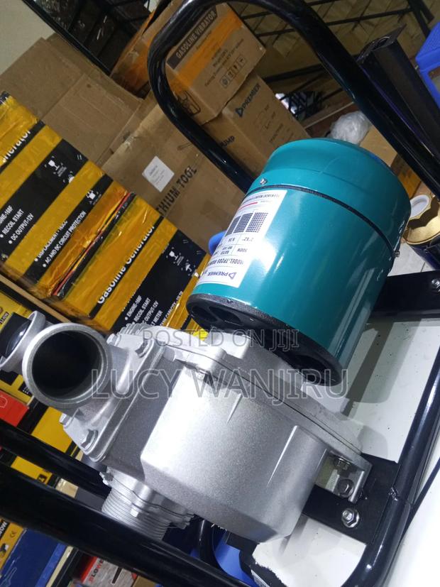 Premier 2 Inch DC Pump 900watts - main view