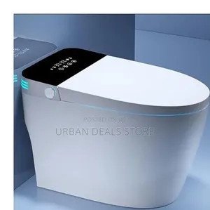 Bolesi Smart Toilet