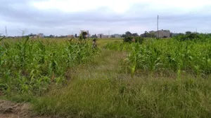 Muthaara Estate Thika