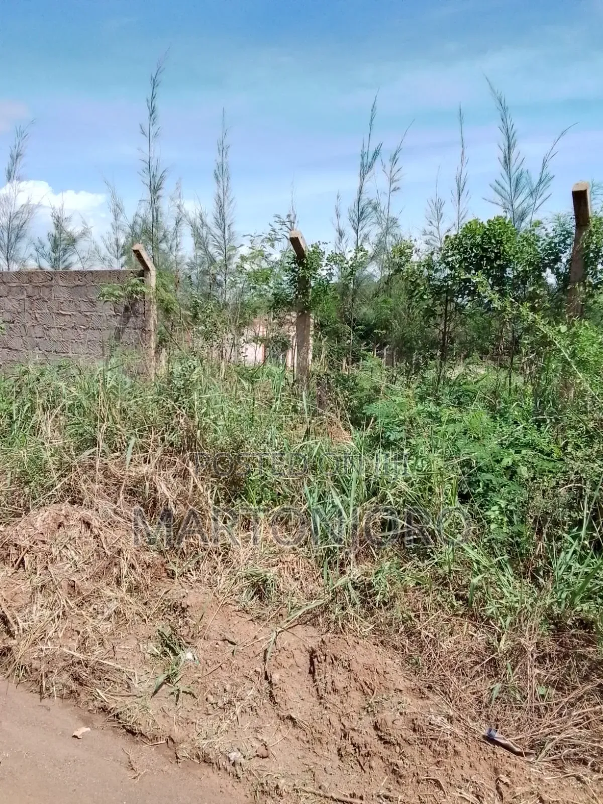 Muthaara Estate Thika