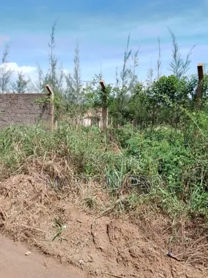 Muthaara Estate Thika
