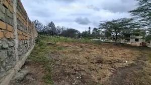 Prime 50 X 100 Plots for Sale – Merisho Road, Ngong (100m Off Taramac)
