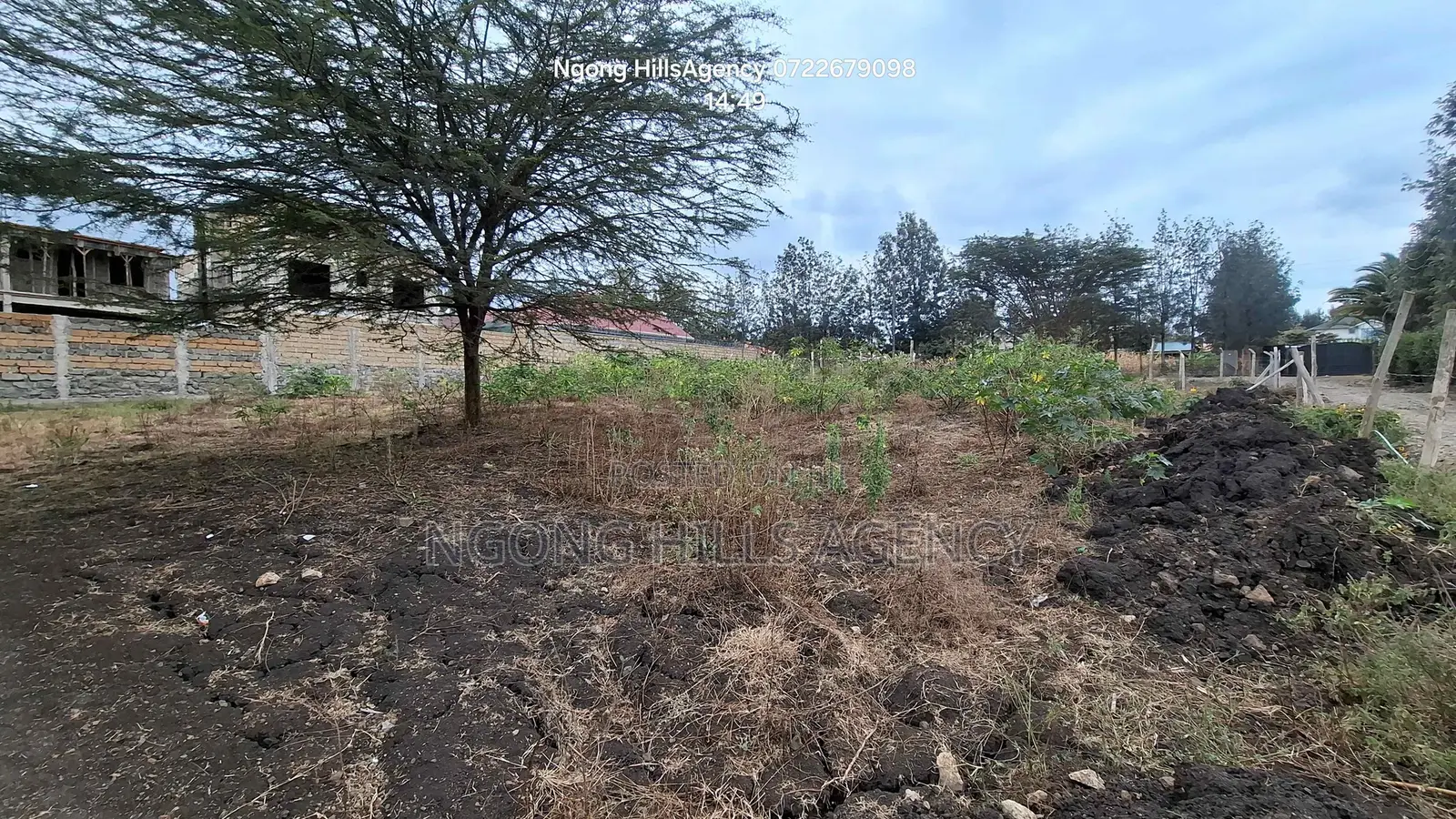 Prime 50 X 100 Plots for Sale – Merisho Road, Ngong (100m Off Taramac)