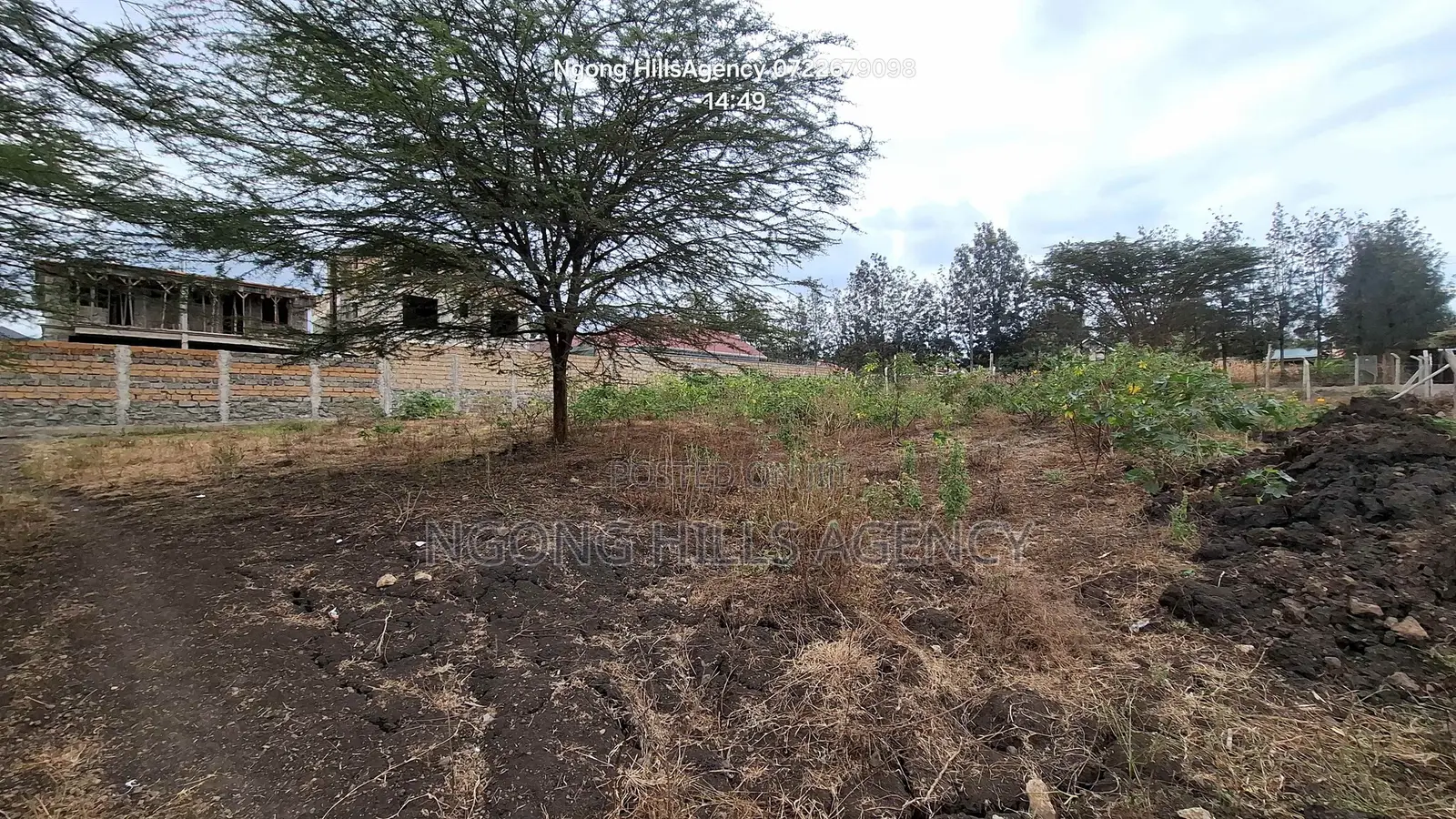 Prime 50 X 100 Plots for Sale – Merisho Road, Ngong (100m Off Taramac)