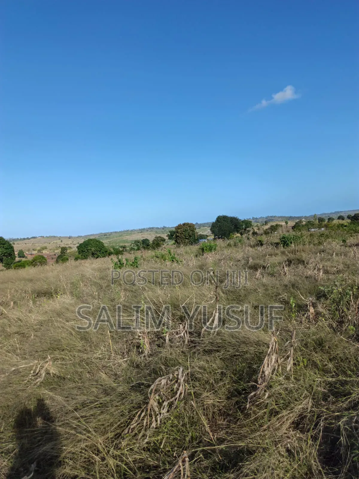 Land on Sale Kundutsi Kwale Count 17acre 1m Per Acre