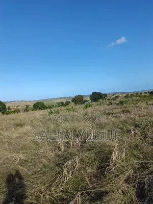 Land on Sale Kundutsi Kwale Count 17acre 1m Per Acre