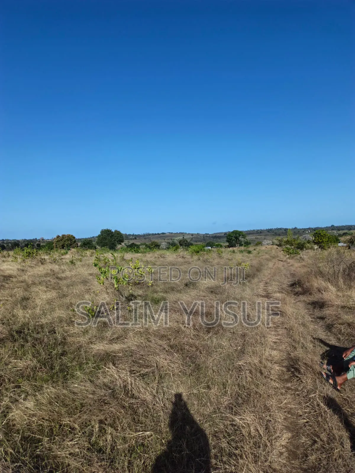 Land on Sale Kundutsi Kwale Count 17acre 1m Per Acre
