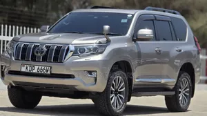 Toyota Land Cruiser Prado 2019 Gray